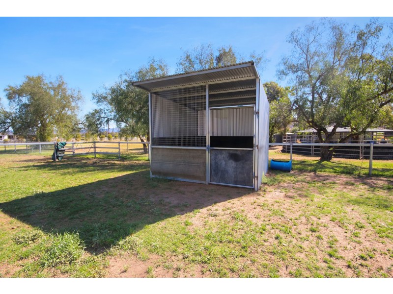 46 Mareeba Road, Scone NSW 2337