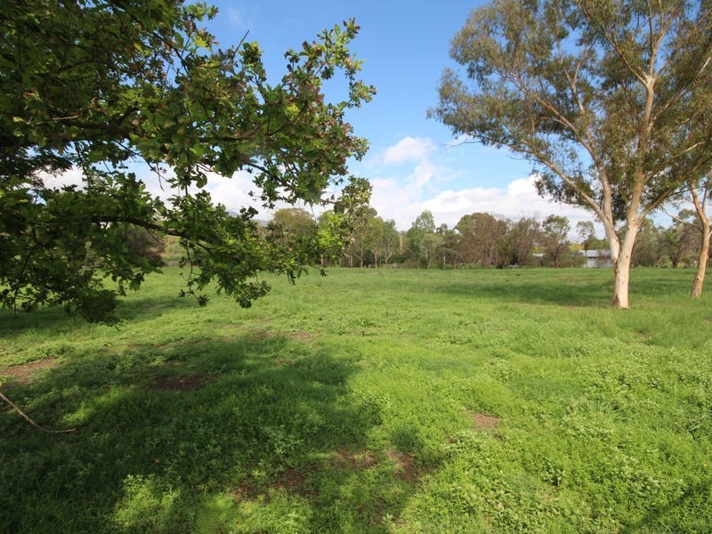 85 River Road, Blandford NSW 2338