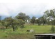 2091 Bunnan Road, Scone NSW 2337