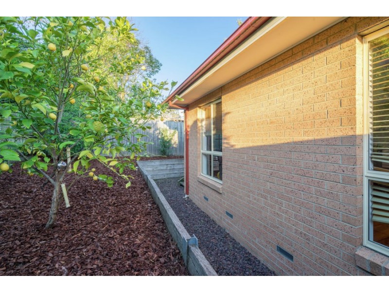 2/293 Springvale Road, Nunawading VIC 3131