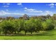 586 Kangaroo Ground St Andrews Road, Panton Hill VIC 3759