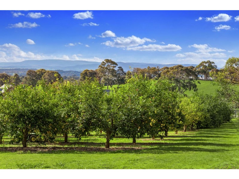 586 Kangaroo Ground St Andrews Road, Panton Hill VIC 3759