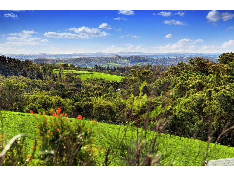 586 Kangaroo Ground St Andrews Road, Panton Hill VIC 3759