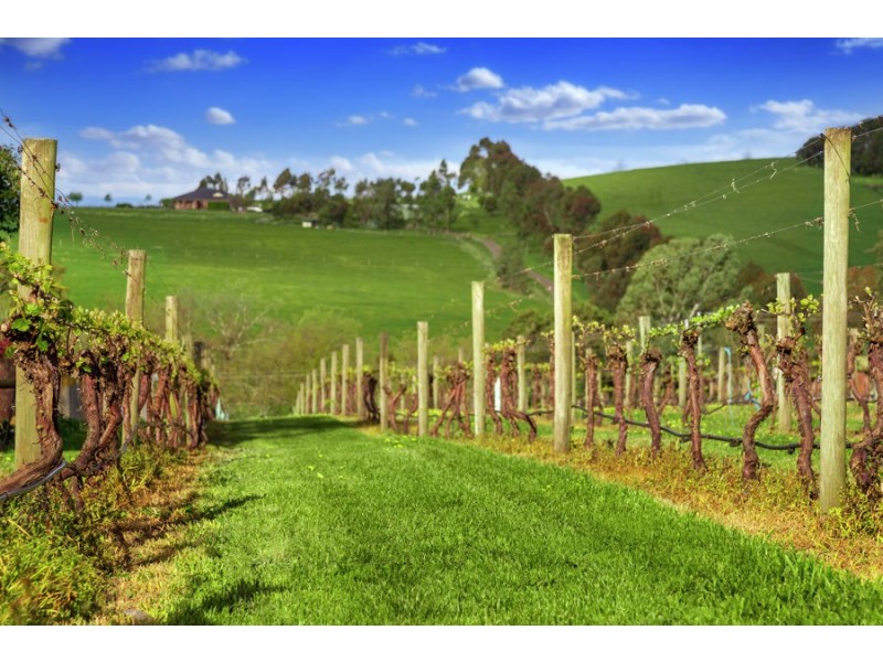 586 Kangaroo Ground St Andrews Road, Panton Hill VIC 3759