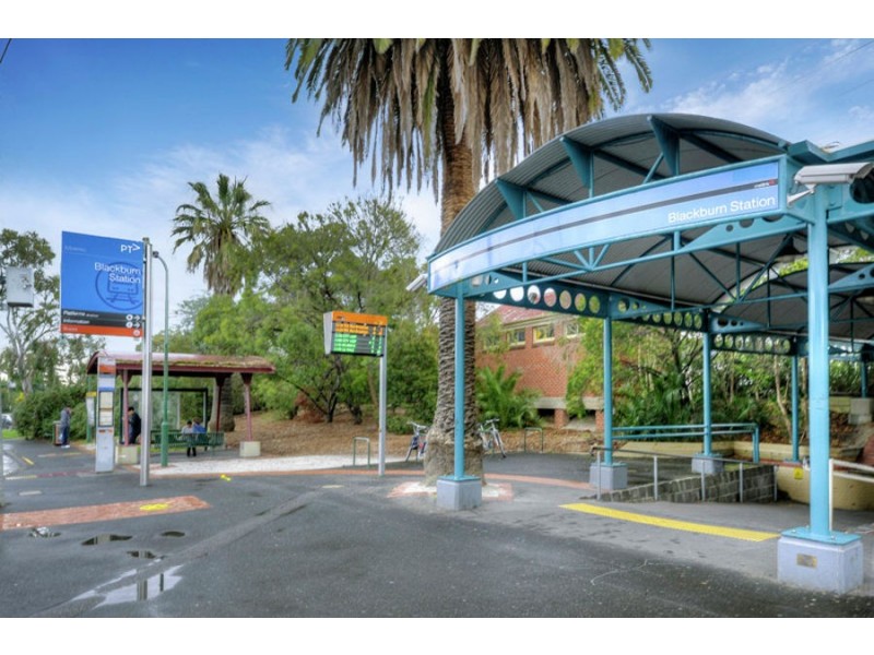 225 Springfield Road, Blackburn North VIC 3130