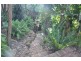 88 Beach Road, Wangi Wangi NSW 2267