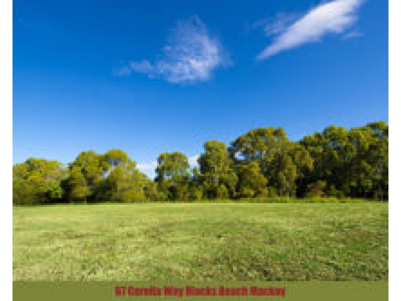 67 Corella Way, Blacks Beach QLD 4740