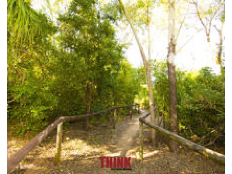 67 Corella Way, Blacks Beach QLD 4740