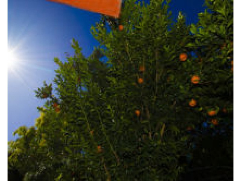 49 Marlborough St, Ooralea QLD 4740