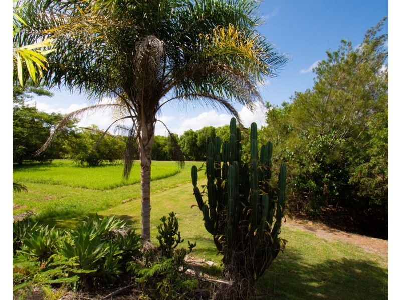 1 Fairmeadow Drive, Mount Pleasant QLD 4740