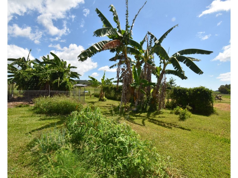 113 Brooks Road, Sarina QLD 4737
