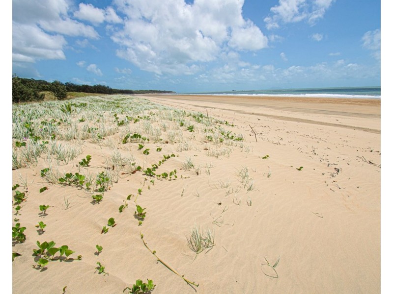 91 Whitehaven Dr, Blacks Beach QLD 4740