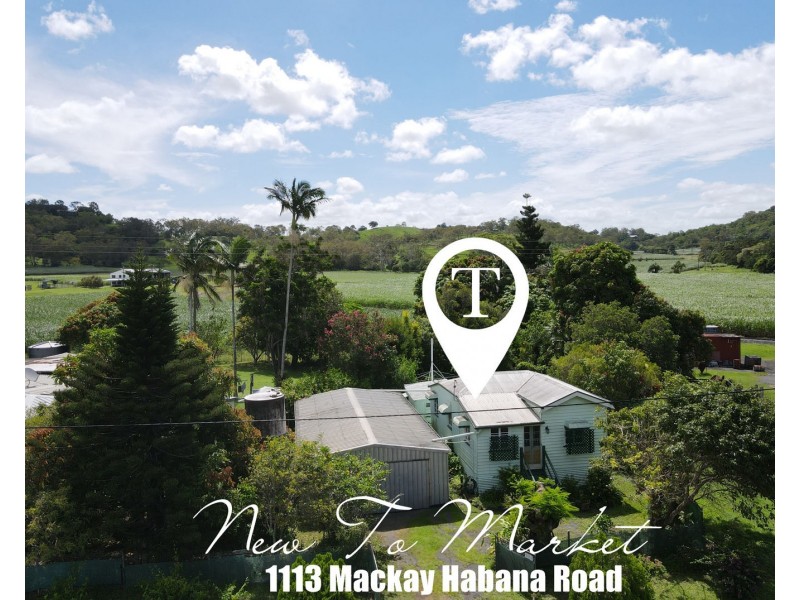 1113 Mackay-Habana Road, Habana QLD 4740