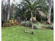 150 Balnagowan Mandarana Road, The Leap QLD 4740