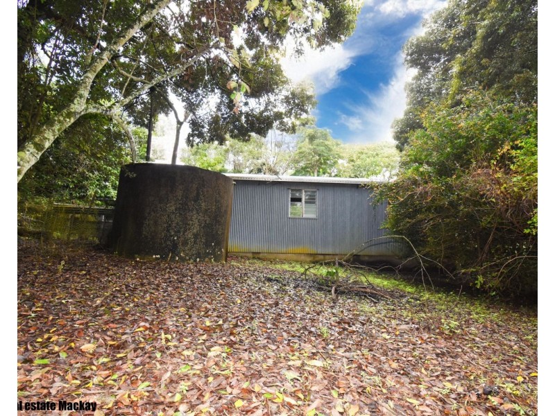 150 Balnagowan Mandarana Road, The Leap QLD 4740