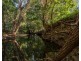 253 Geeberga Buthurra Road, Kuttabul QLD 4741