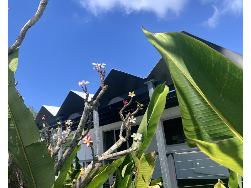 31 Wall Street, Eimeo QLD 4740