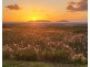 24 A Binnington Esplanade, East Mackay QLD 4740