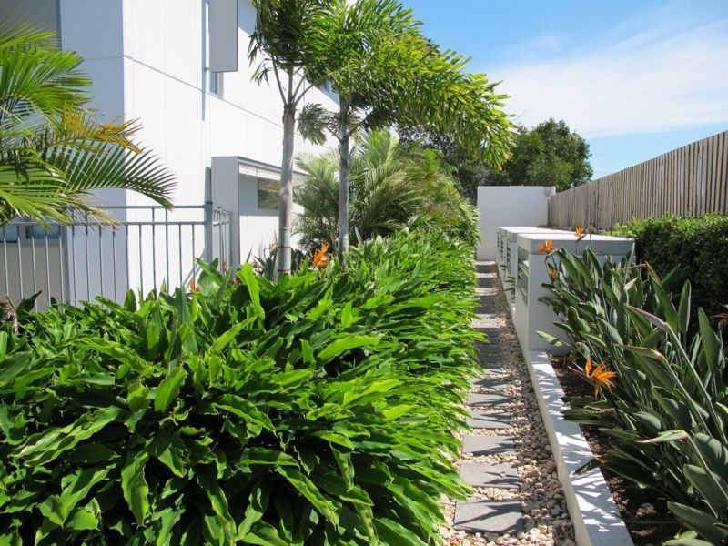 2074/16 Hamilton Pl, Bowen Hills QLD 4006