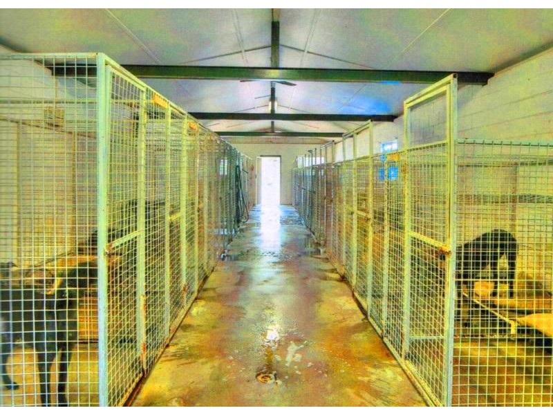 77 Smith Rd, Park Ridge South QLD 4125