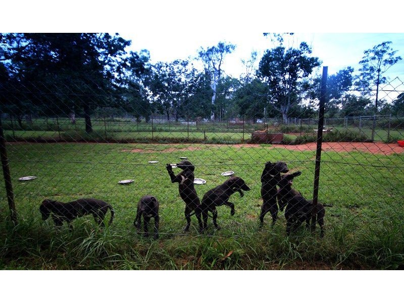 77 Smith Rd, Park Ridge South QLD 4125