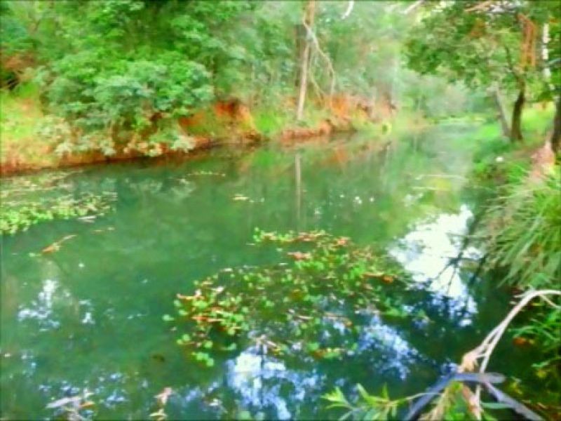 113 Clagiraba Road, Clagiraba QLD 4211