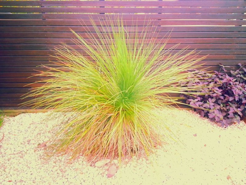 21 Aratula Street, Sunnybank Hills QLD 4109