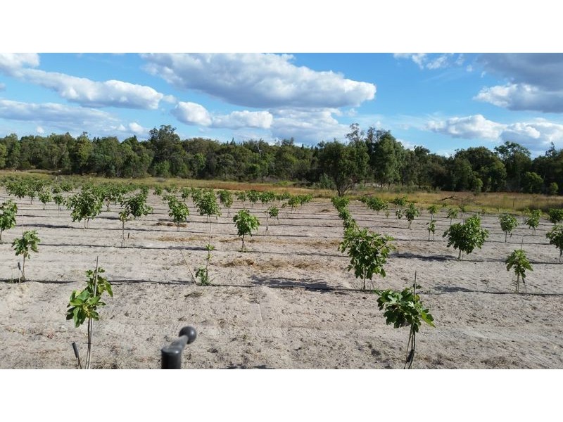 894 Amiens Road, Stanthorpe QLD 4380