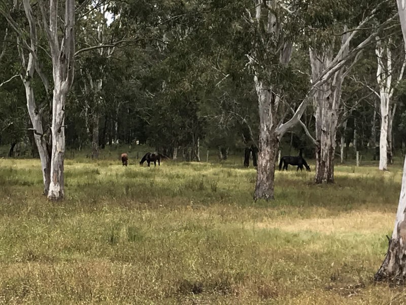 758 BLUNDER ROAD, Durack QLD 4077