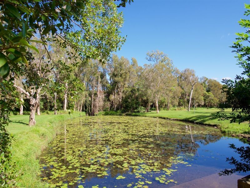 8 Tupelo Street, Calamvale QLD 4116