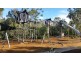 2 Mead Pl, Calamvale QLD 4116