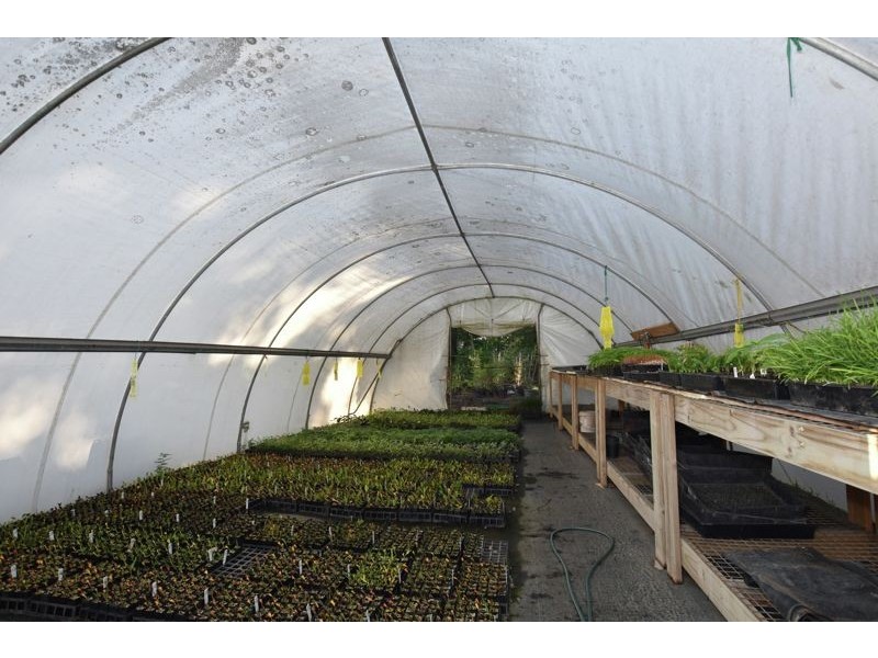 57 Weedon Street West, Mansfield QLD 4122