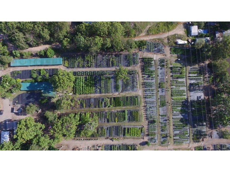 57 Weedon Street West, Mansfield QLD 4122