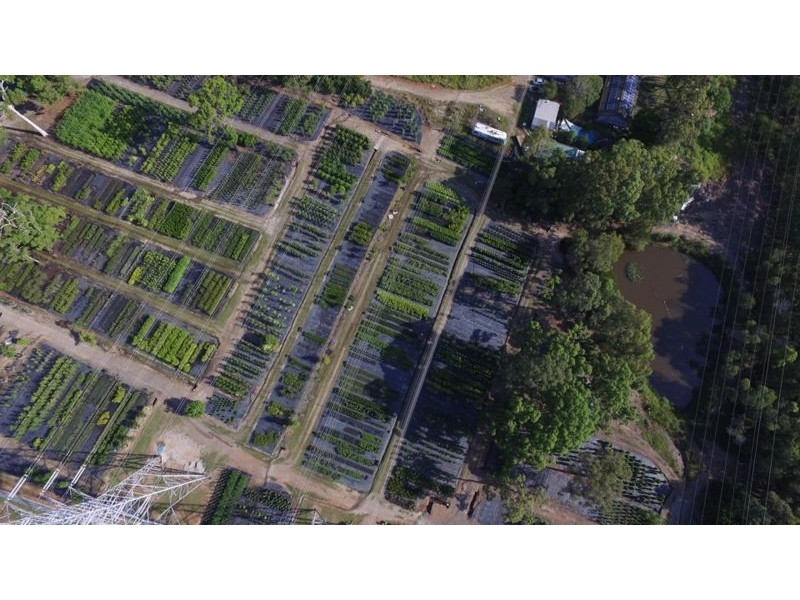 57 Weedon Street West, Mansfield QLD 4122