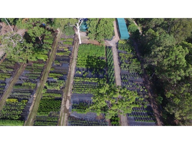 57 Weedon Street West, Mansfield QLD 4122