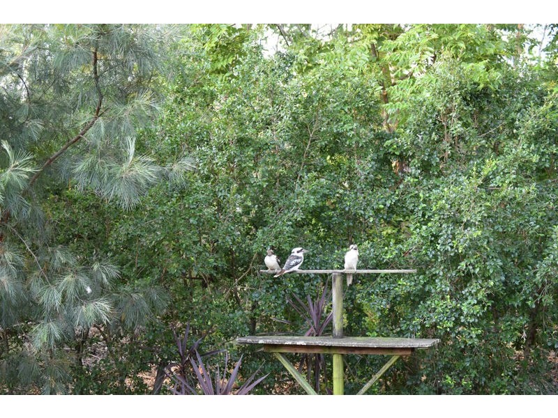 57 Weedon Street West, Mansfield QLD 4122