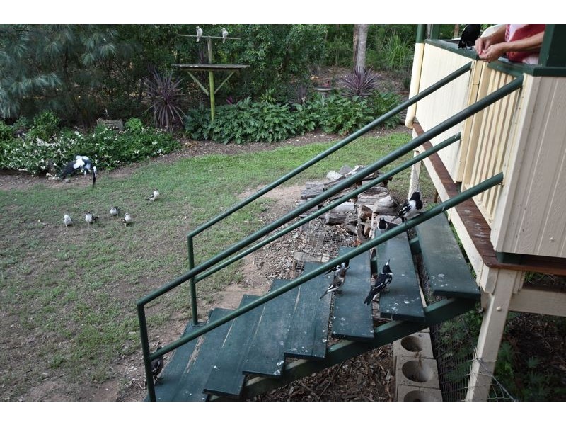 57 Weedon Street West, Mansfield QLD 4122