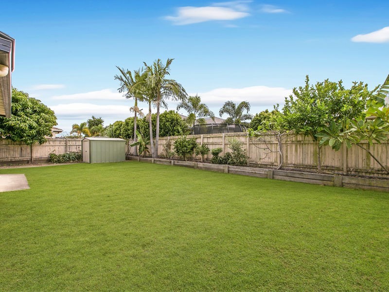 53 Buckley Drive, Drewvale QLD 4116