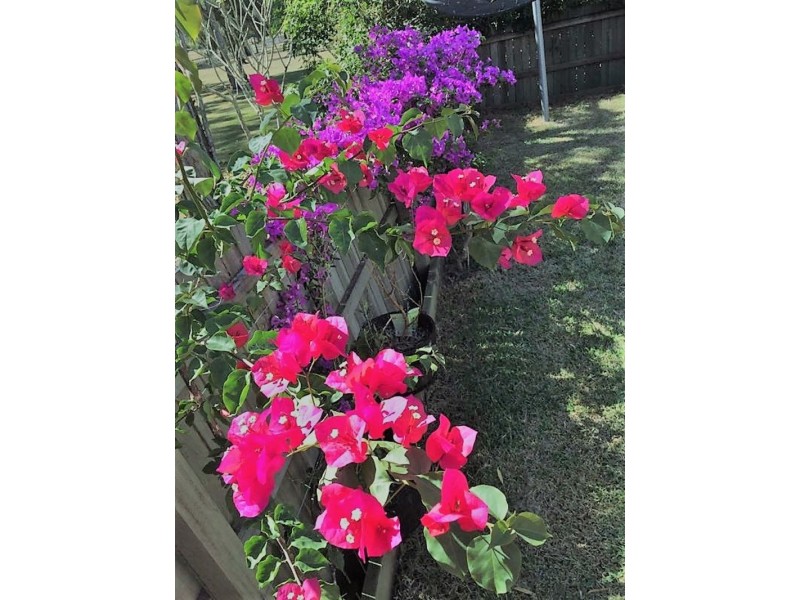 24 Delafield Street, Sunnybank QLD 4109