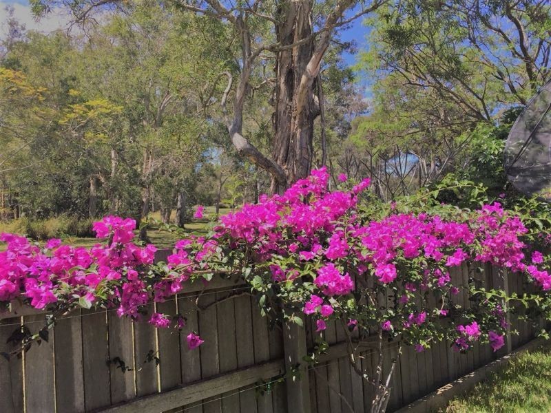 24 Delafield Street, Sunnybank QLD 4109