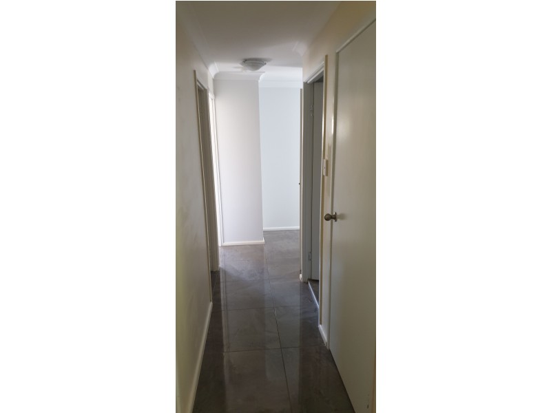 117 Springwood Road, Springwood QLD 4127