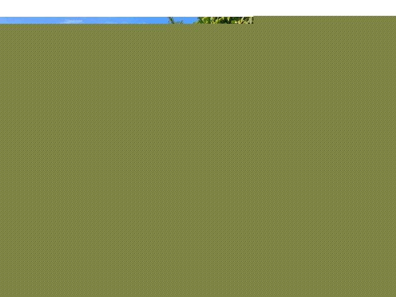 77 Padstow Road, Eight Mile Plains QLD 4113