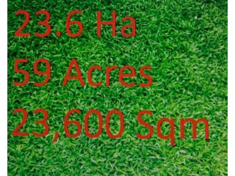 Park Ridge Road, Park Ridge QLD 4125