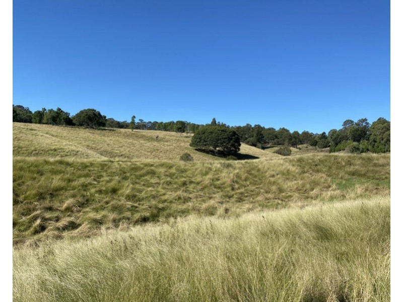 389 Birnam Range Road, Beaudesert QLD 4285