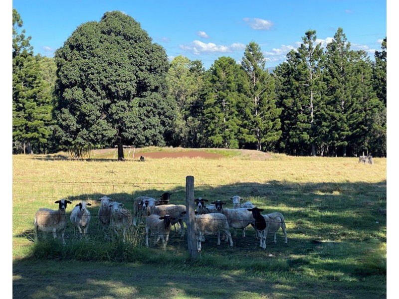 389 Birnam Range Road, Beaudesert QLD 4285