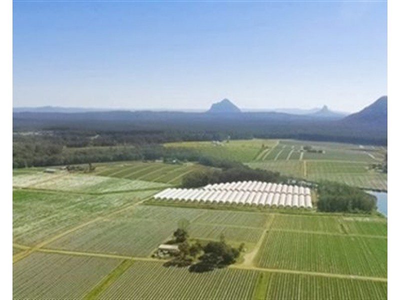 Wamuran QLD 4512