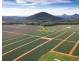 Wamuran QLD 4512