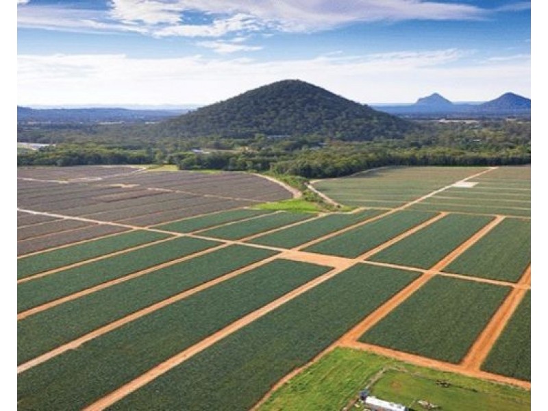 Wamuran QLD 4512