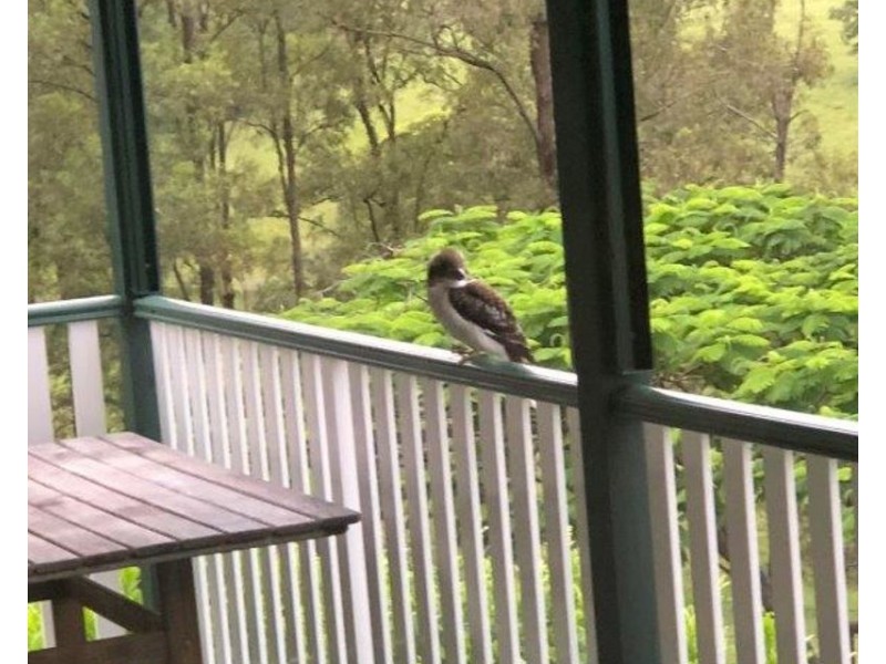 427 Birnam Range Road, Beaudesert QLD 4285