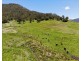 Lot 4 Roseberry Creek Road, Roseberry Creek NSW 2474